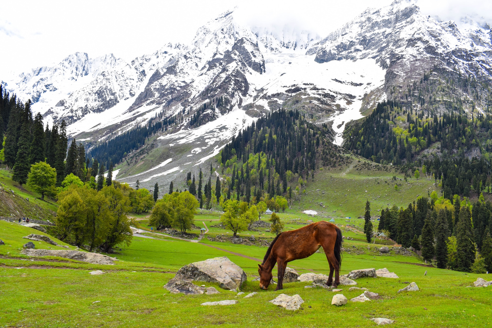 Kashmir Tour