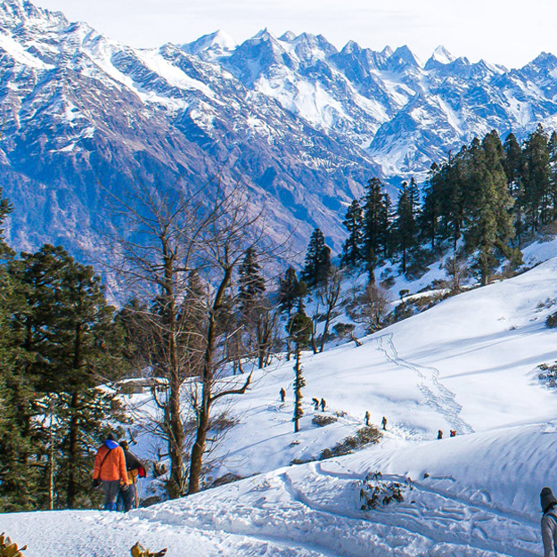 Manali Tour